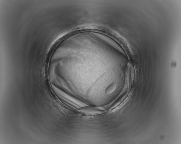 X0000096941166200802221313