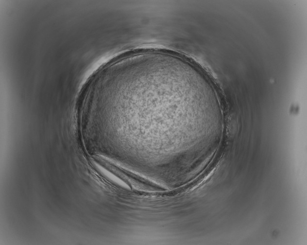 X0000096941167200802221313