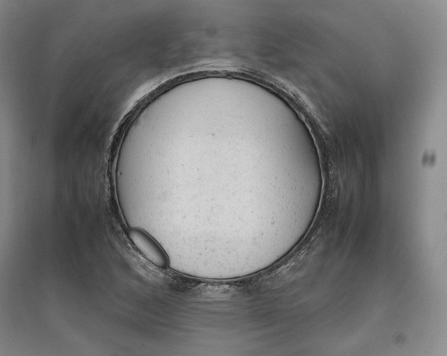 X0000096941168200802221313