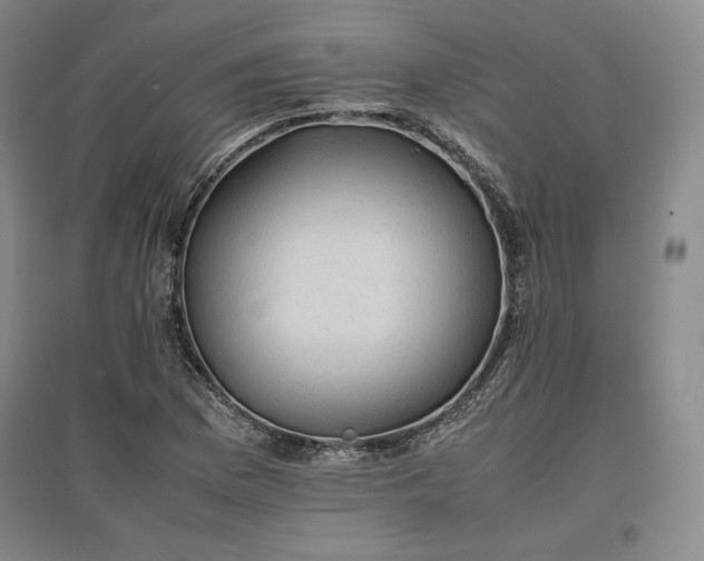 X0000096941169200802221313