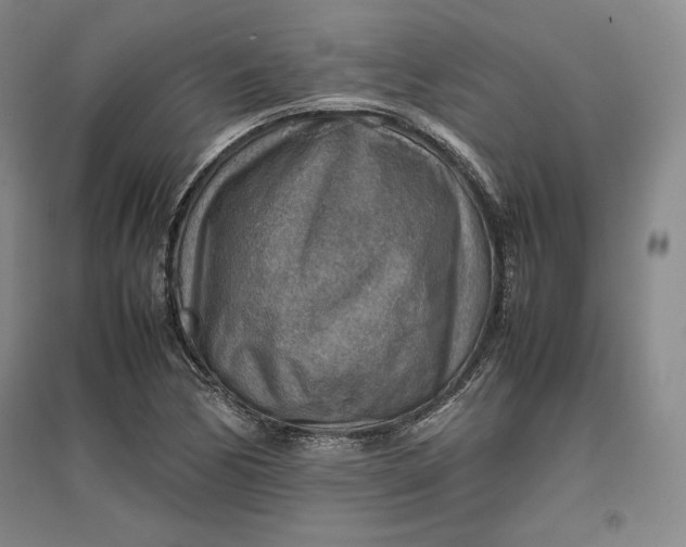 X0000096941170200802221313