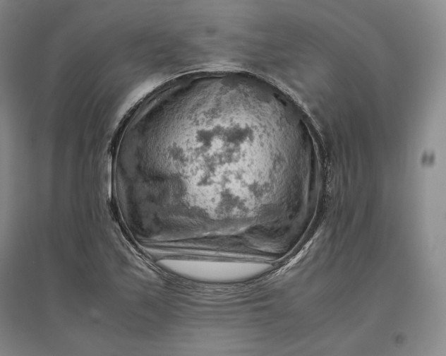 X0000096941171200802221313