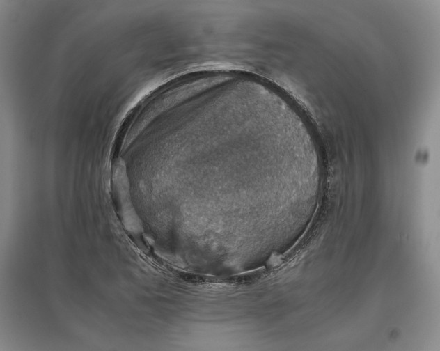 X0000096941173200802221313