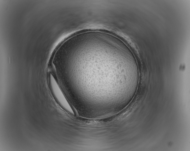 X0000096941175200802221313