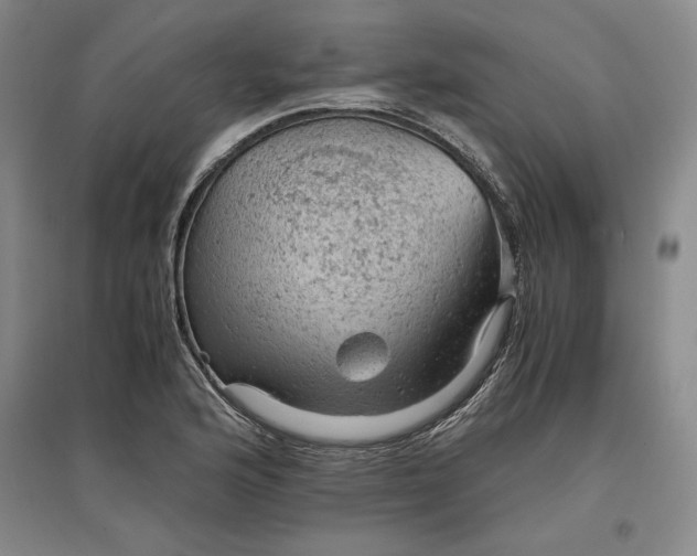 X0000096941176200802221313