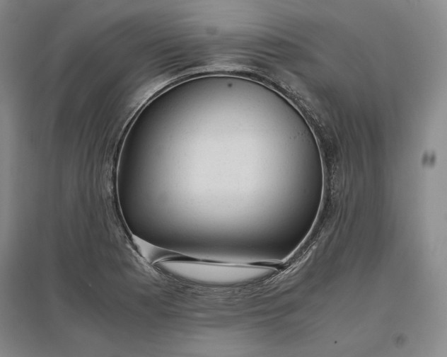 X0000096941177200802221313