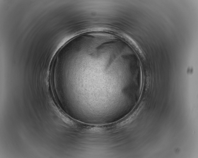 X0000096941178200802221313