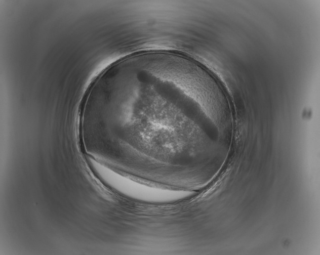 X0000096941179200802221313