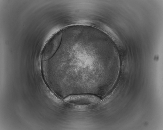 X0000096941180200802221313