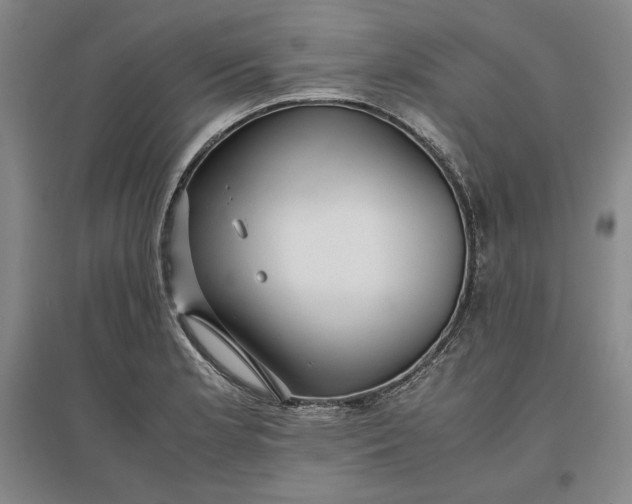 X0000096941181200802221313