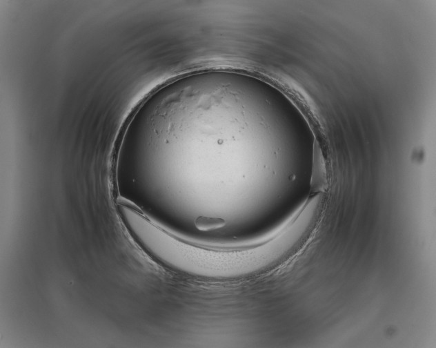 X0000096941182200802221313