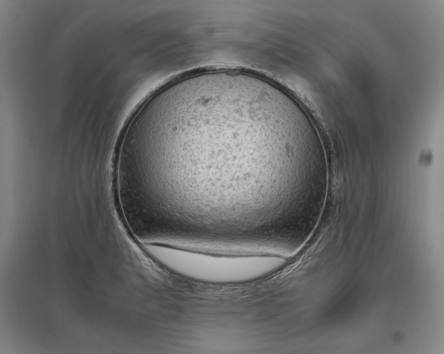 X0000096941183200802221313