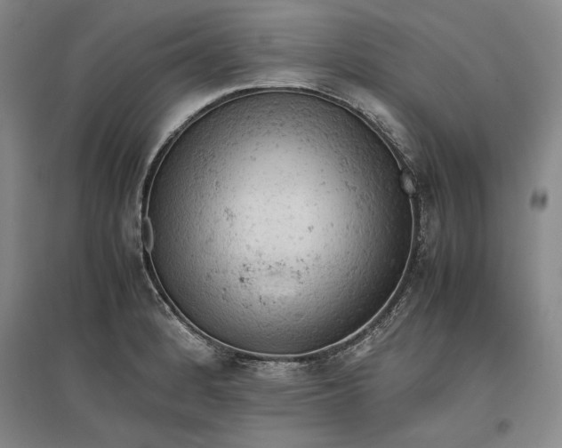 X0000096941184200802221313