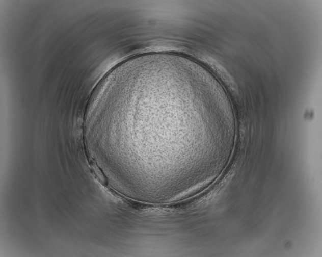 X0000096941185200802221313