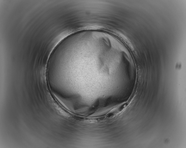 X0000096941186200802221313