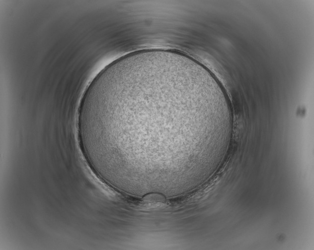 X0000096941187200802221313