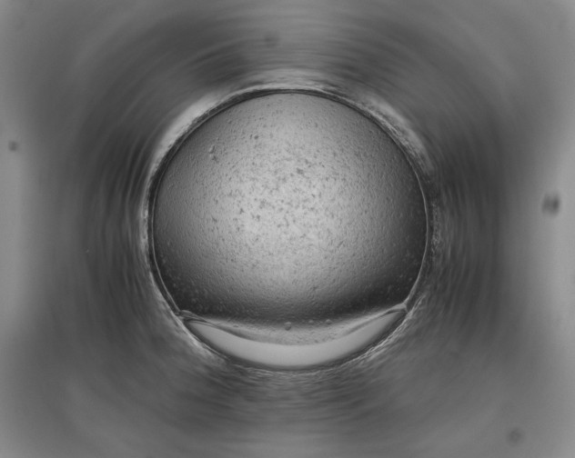 X0000096941188200802221313