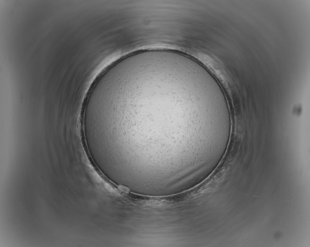 X0000096941189200802221313