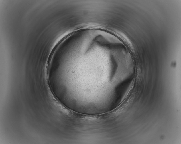 X0000096941190200802221313