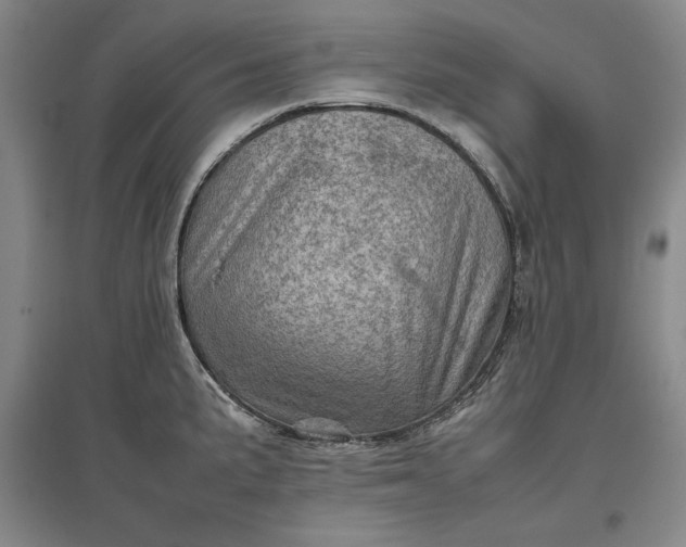 X0000096941191200802221313