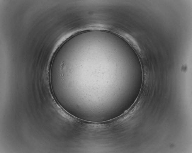 X0000096941192200802221313