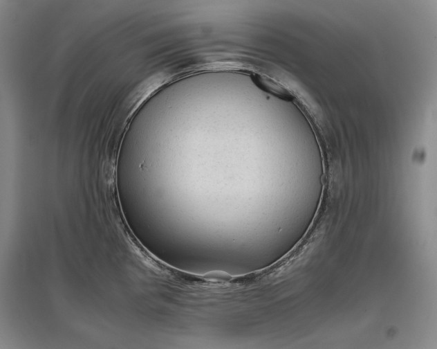 X0000096941193200802221313