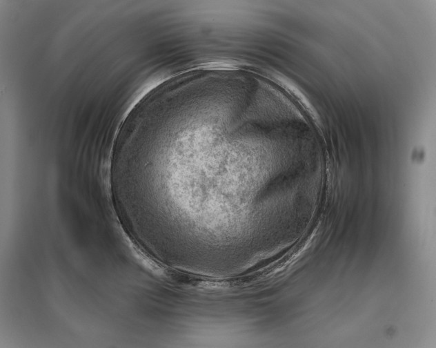 X0000096941194200802221313