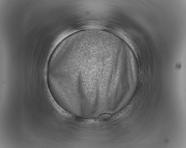 X0000096941195200802221313