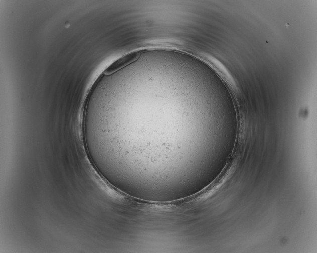 X0000096941196200802221313