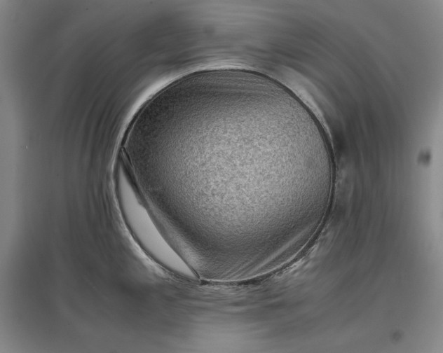 X0000096941197200802221313