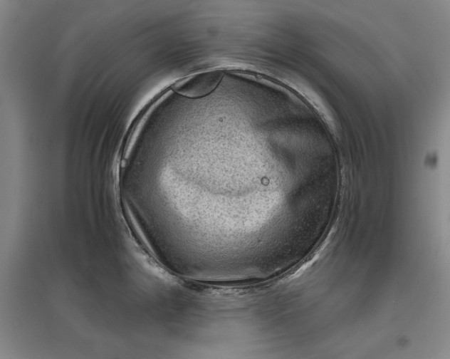 X0000096941198200802221313