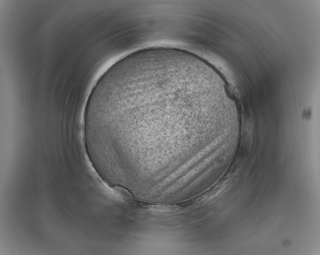 X0000096941199200802221313