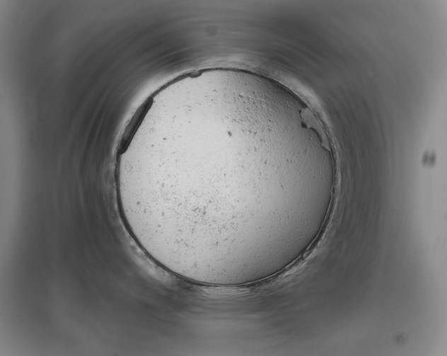 X0000096941200200802221313