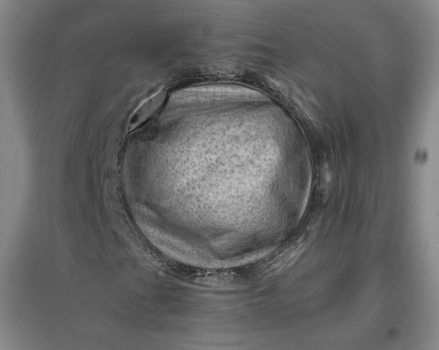 X0000096941201200802221312