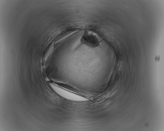 X0000096941202200802221312