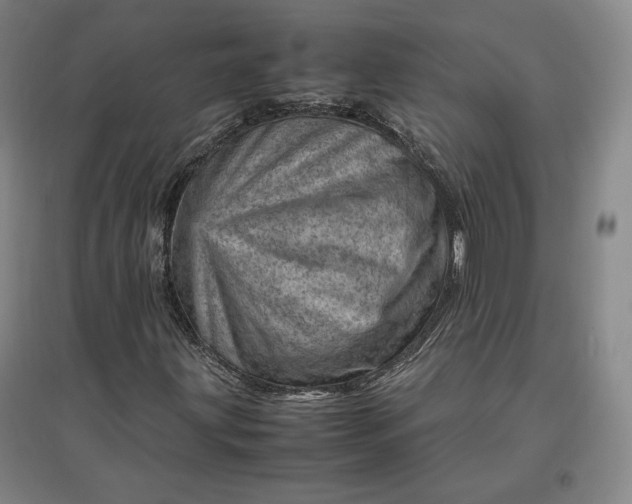 X0000096941203200802221312