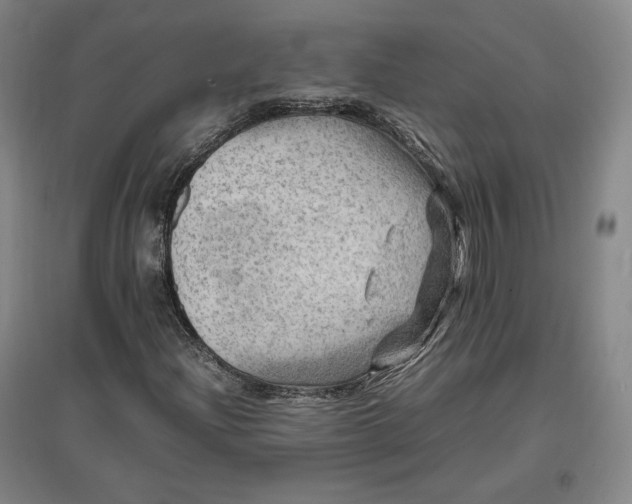 X0000096941204200802221312