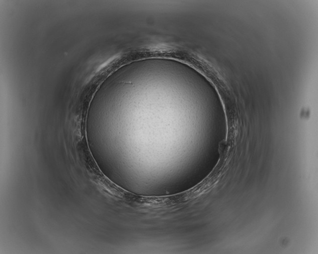 X0000096941205200802221312