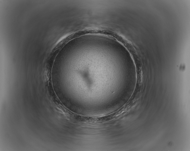 X0000096941206200802221312