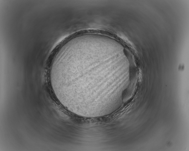 X0000096941208200802221312