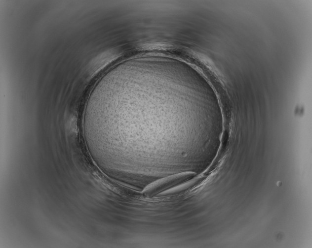 X0000096941209200802221312