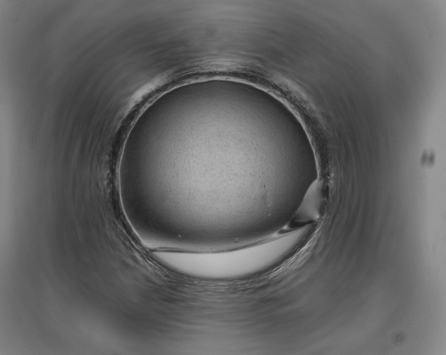 X0000096941210200802221312