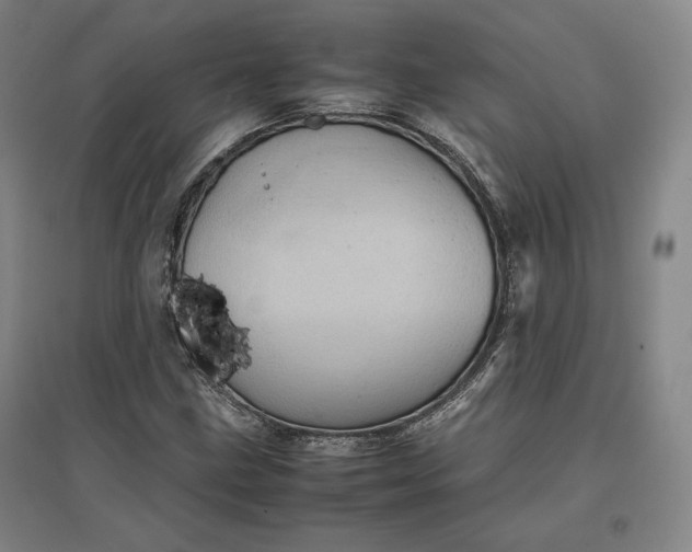 X0000096941211200802221312