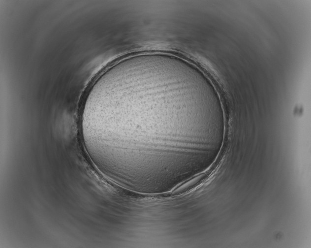 X0000096941212200802221312