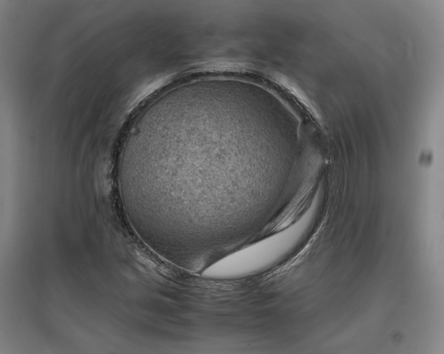 X0000096941213200802221312