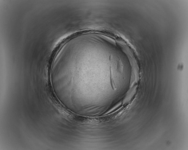 X0000096941214200802221312