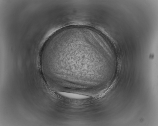 X0000096941215200802221312