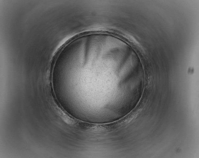 X0000096941216200802221312