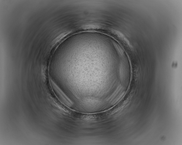 X0000096941217200802221312