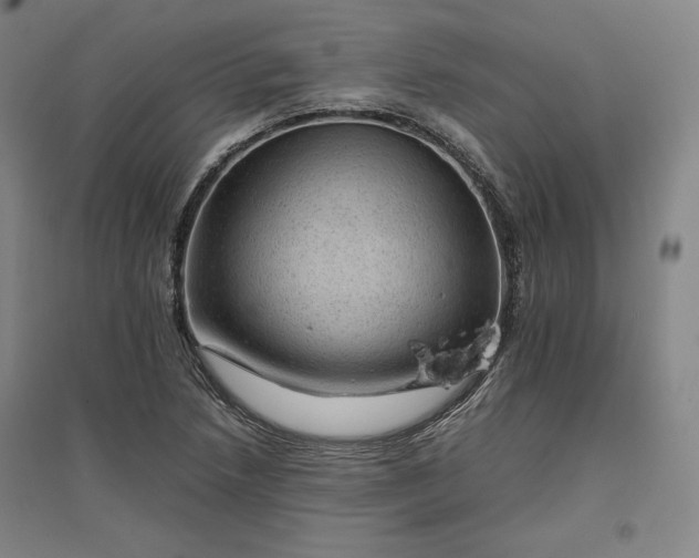 X0000096941218200802221312